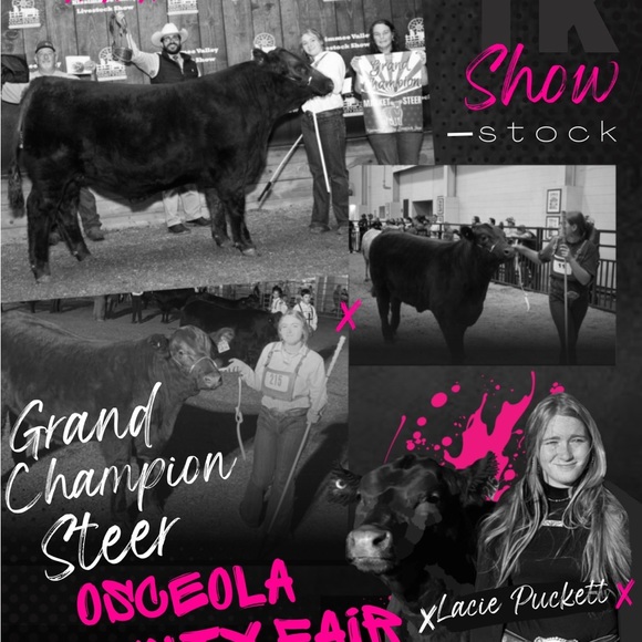 Meet your Posher, Lacie - Picture 1 of 1